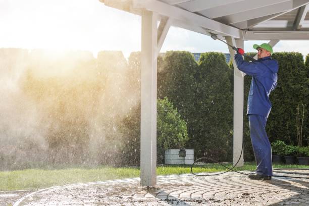 Best Driveway Pressure Washing  in Dalton Gardens, ID